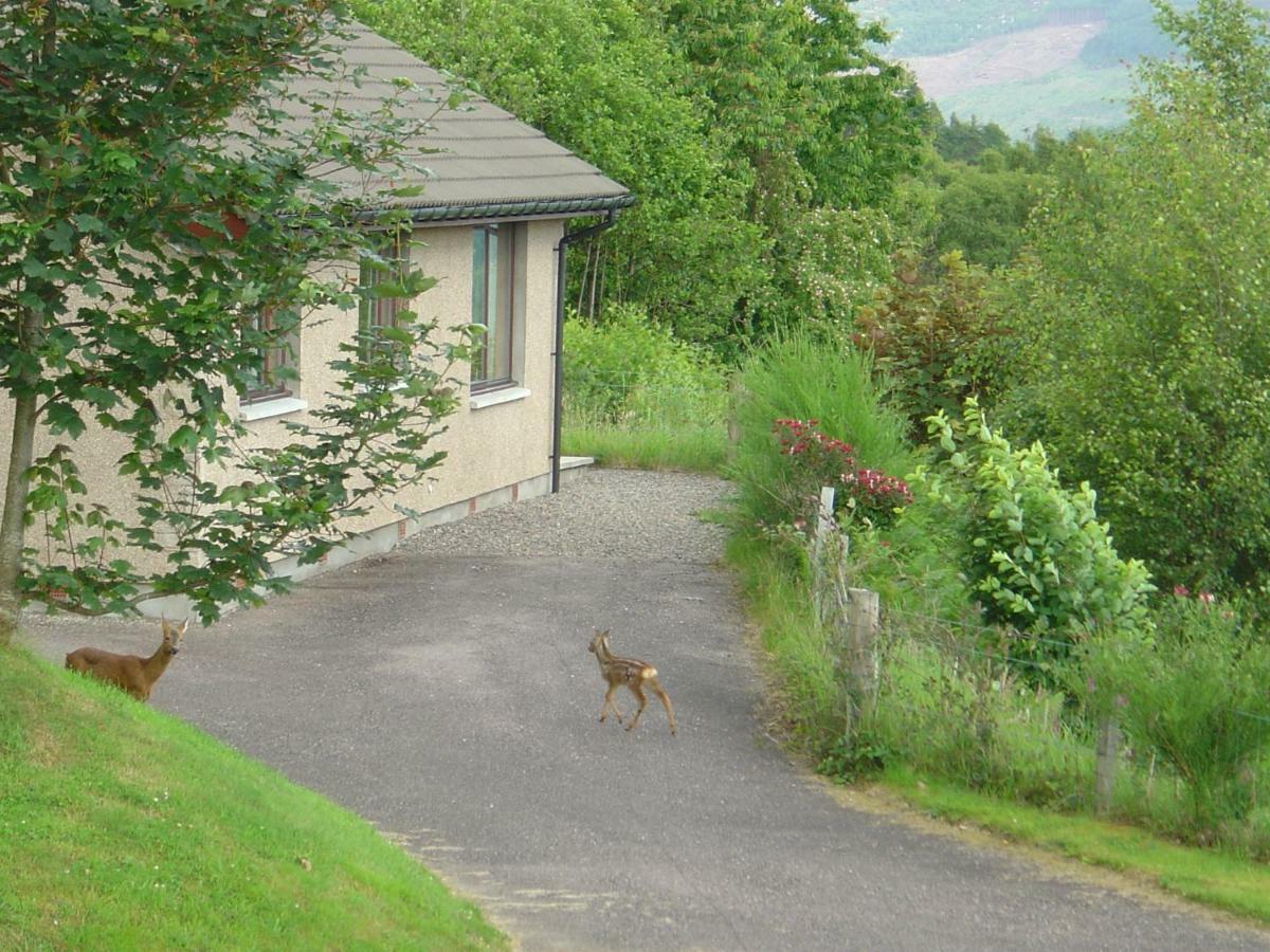 Achmony Holidays Villa Drumnadrochit Exteriör bild